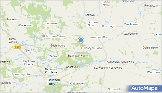 mapa Łukoszyno-Borki, Łukoszyno-Borki na mapie Targeo